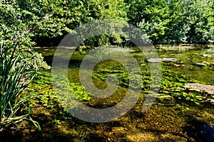 Small Danuba River, Slovakia