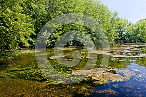 Small Danuba River, Slovakia