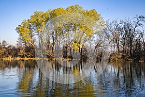 Small Danube river in spring time