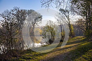 Small Danube river in spring time