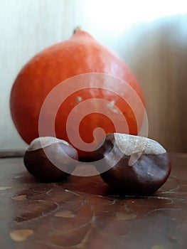 Small decoration Pumpkins. Halloween decoration Pumpkin. Halloween decorations.