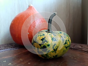 Small decoration Pumpkins. Halloween decoration Pumpkin. Halloween decorations.