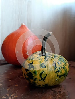 Small decoration Pumpkins. Halloween decoration Pumpkin. Halloween decorations.