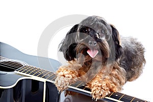 Small decorative doggie and guitar.