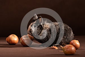 Small decorative gray-brown rabbit and vegetable onion