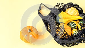 A small decorative pumpkins in a black color string shopping bag