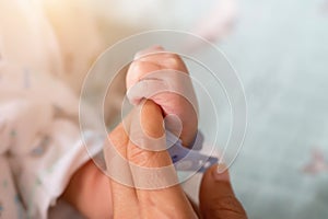 Small delicate little hand of newborn - close portrait