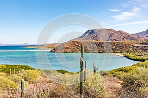 A small desert bay in the Sea of Cortez