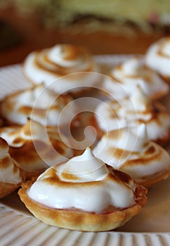 Small Dessert Tarts