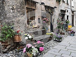 Flowers in the small italian village, Finalborgo, Savona, Italy