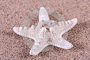 Diamond engagement wedding ring on starfish on sandy beach