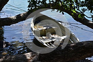 Small dinghy under tree branches