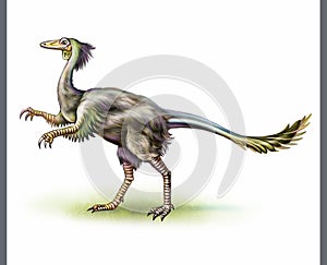 Small dinosaur Alvarezsaurus calvoi