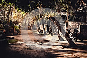 Small dirt road in a local village on a tropical island. Road with palm trees and motobikes.. Vintage view. Bali, Indonesia