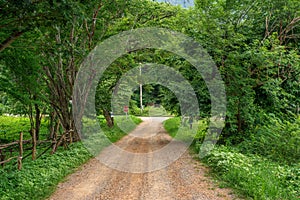 Small dirt road in rural farming village