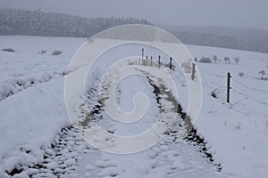 small dirt road in a snow storm