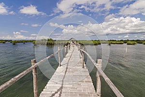A small dock or walkway made of bamboo connecting to a mangrove island. At Cabgan Island in Tubigon, Bohol, Philippines