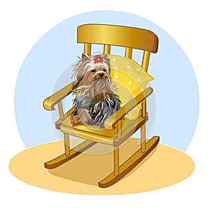 Small dog with bow sitting on rocking chair. Yorkshire Terrier on a pillow. My favorite pet. Vector illustration.