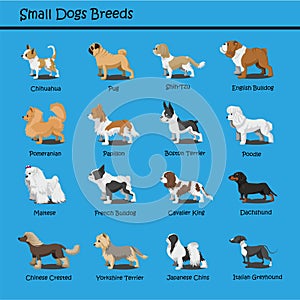 Small Dog Breeds Dog cute Cartoon Design Vector puppy dog Cartoons Design