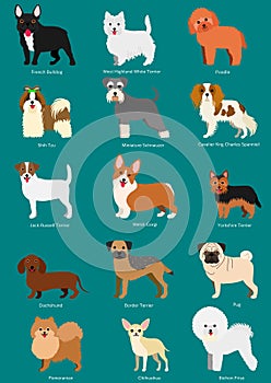 Small dog breeds set