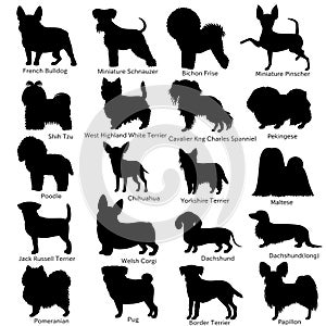 Small dog breeds silhouette bundle