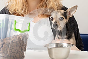 small dog food, pet feed, hungry cute dog looks at the food, wants to eat tasty treats