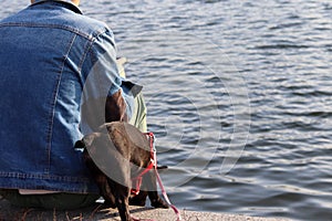 Small dog on a leash in a collar snuggles against its owner in the park against the background of the water. The
