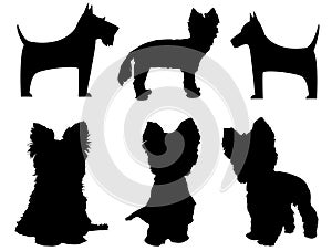 Small dog silhouettes (Yorkshire Terrier and Schna photo