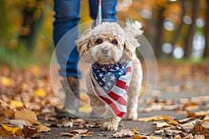 A small dog wearing an American flag bandana sitting at the feet of its owner in the park