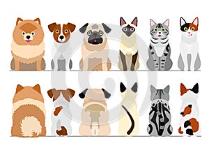 Small dogs and cats border set,full length, front and back