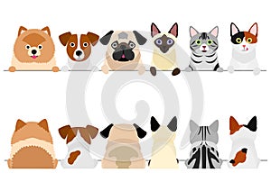 Small dogs and cats border set, upper body, front and back