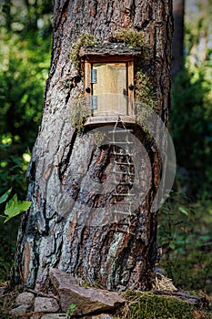 A small door in a tree trunk