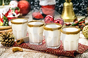 Small doses of warm Christmas eggnog, based on eggs and rum liqueur. called eggnog, momo cola, coquito or CrÃÂ¨me de Vie photo