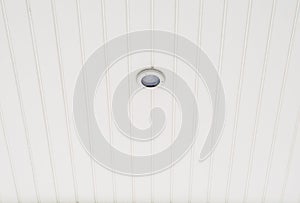 Small downlight bulb