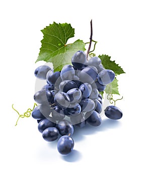 Small dry blue grapes bunch on white background