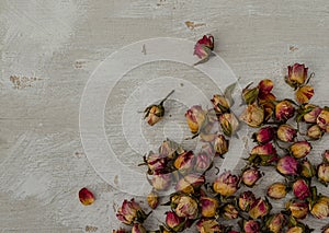 Small dry roses on white vintage background