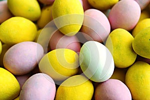 Small Easter Eggs. Pastel colored small coated chocolate Easter eggs