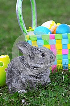 Small easter rabbit