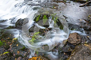 Small, Eden like Brook Waterfall