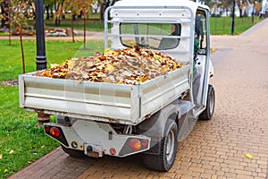 Small electric truck removing fallen leaves in body at autumn city park. Municipal urban services using ecology green vehicle
