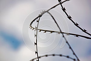 A small element of barbed wire on a General developed background photo