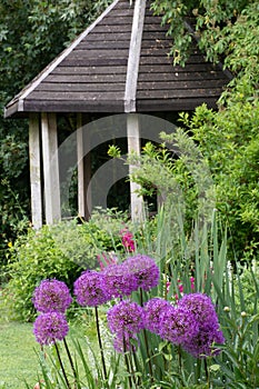 Small English Summer House with Alliums