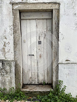 Small European Home Front Door