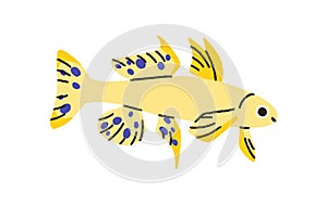 Small exotic tropical sea fish. Marine water and aquarium animal swimming. Cute little south species. Ornamental