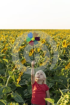 Small, fair-haired boy stands among field of sunflowers and raised windmill toy high above his head