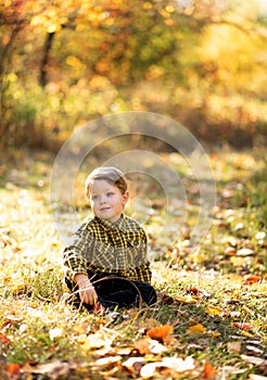 A small fair-haired cute boy in a checkered yellow shirt is sitting on a lawn