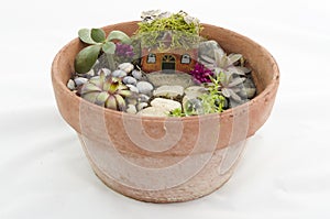 Small Fairy Garden for inddoors or outside