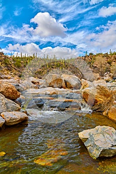 Small fall along Tanque Verde Creek in the Coronado National Forest, Arizona