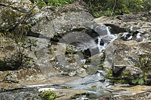 Small falls on on Waipio Stream along the Road to Hana