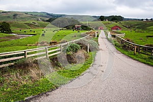 Small Family Farm